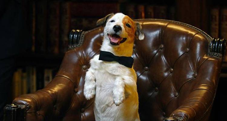 Crítica de ‘Pancho, el perro millonario’: Pancho podría perder su “fortuna”