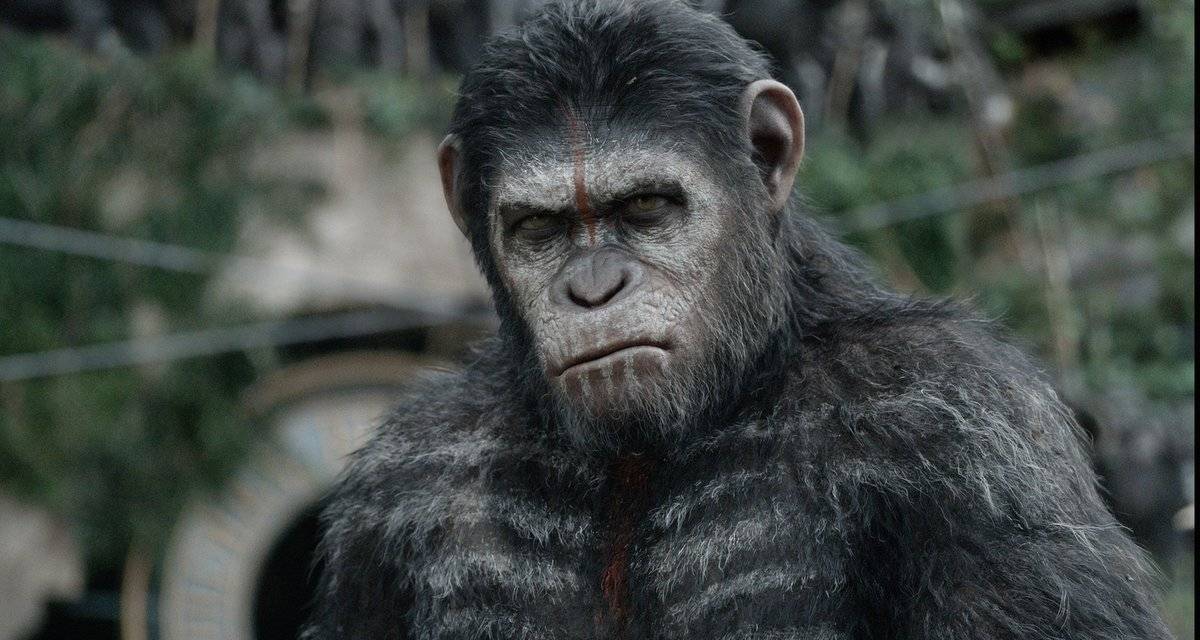 Crítica de la película ‘El amanecer del planeta de los simios’: digna sucesión