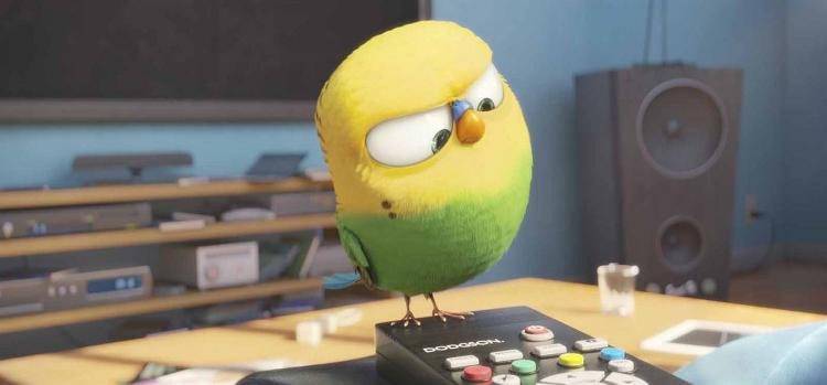 Un pájaro intentando cambiar de canal en la tele