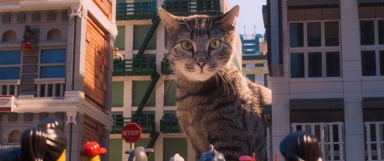 Un gato amenaza la ciudad de Ninjago