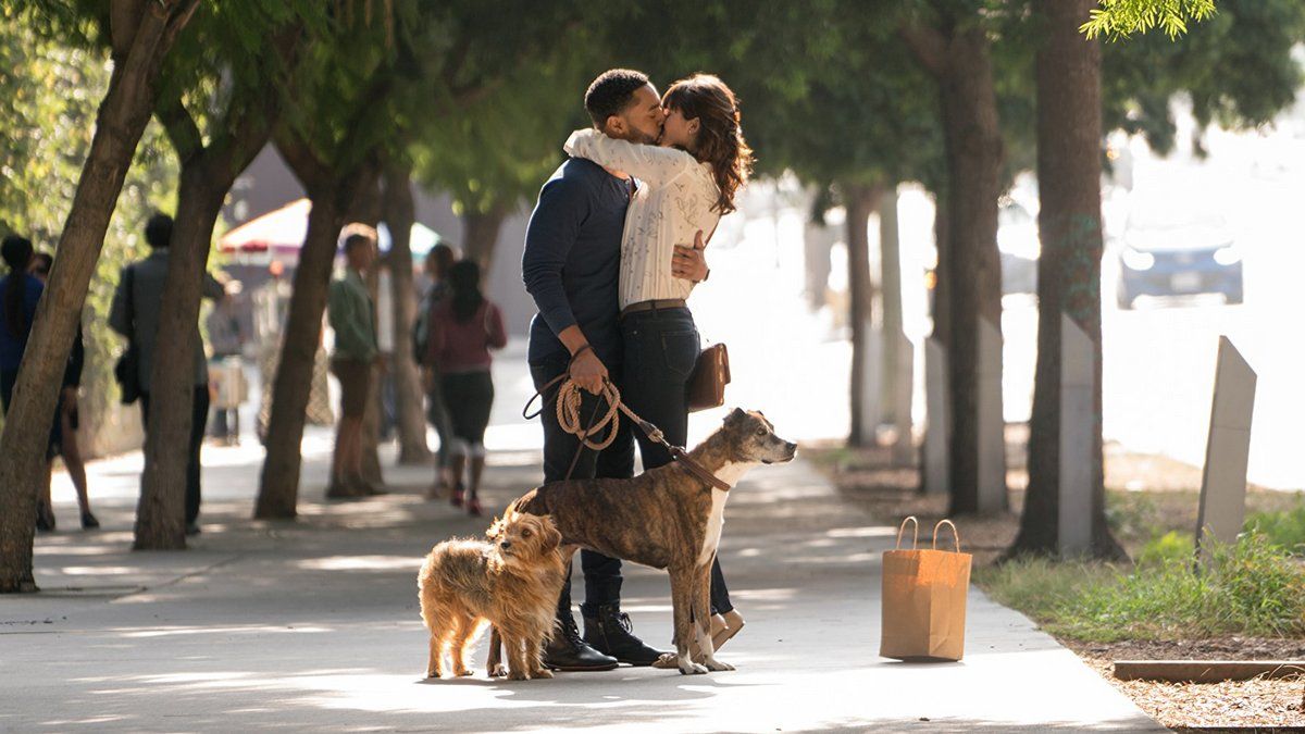 Crítica de la película “I love dogs”: Unidos por los perros