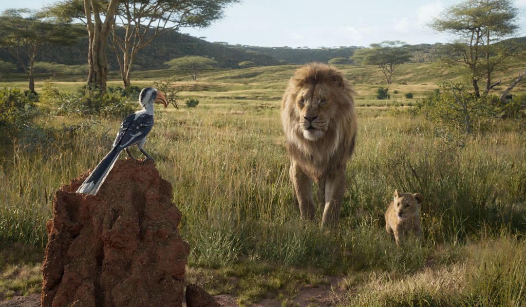 Los personajes Zazú, Mufasa y Simba (Opinión El rey León 2019)