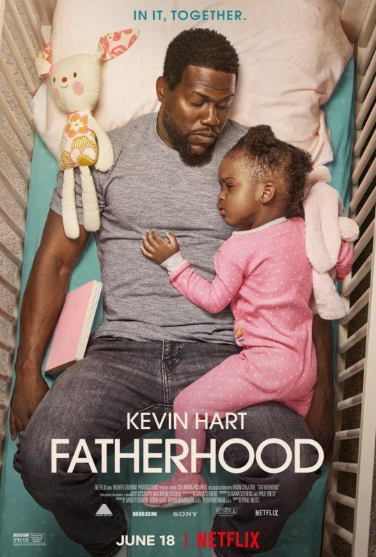Cartel de la película Ser padre de Netflix