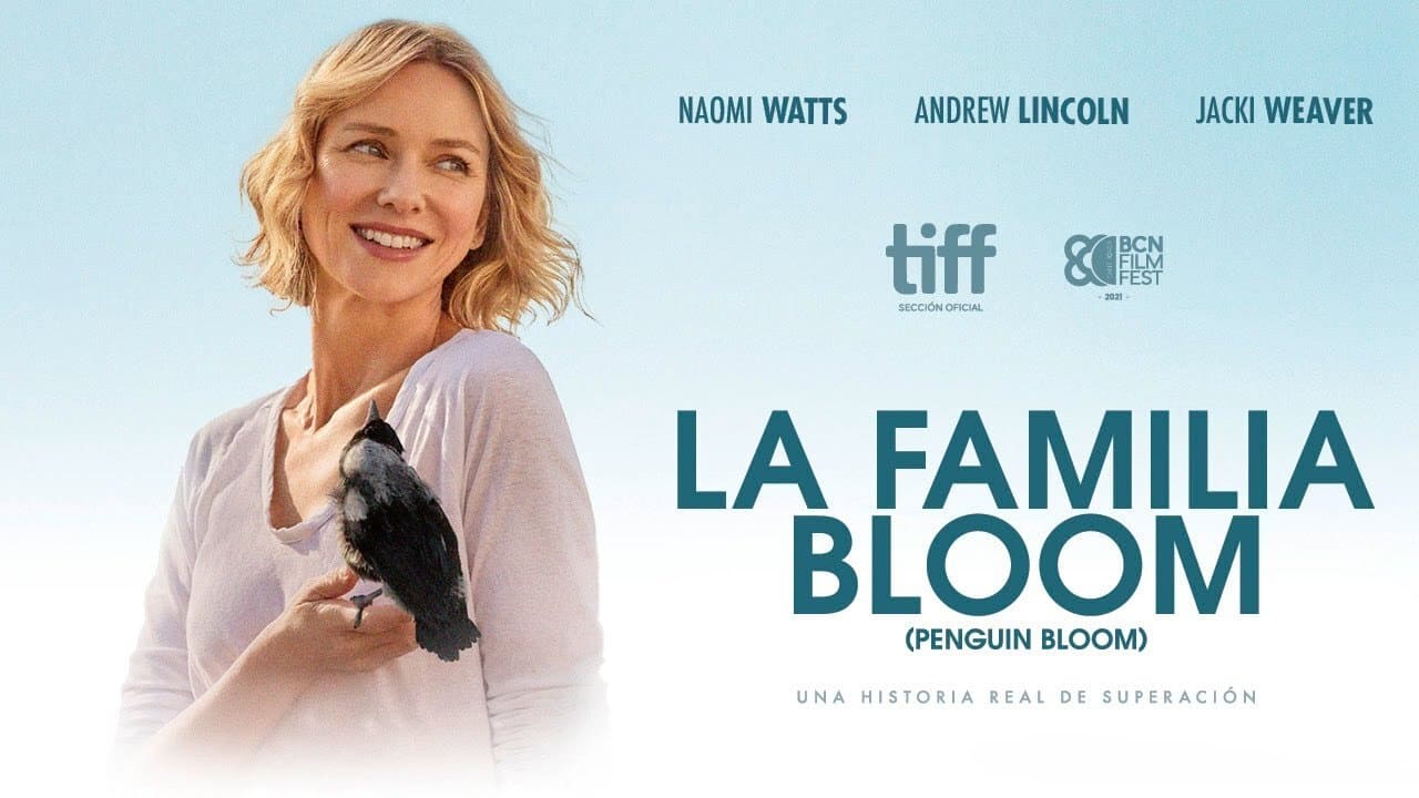Crítica de la película La familia Bloom