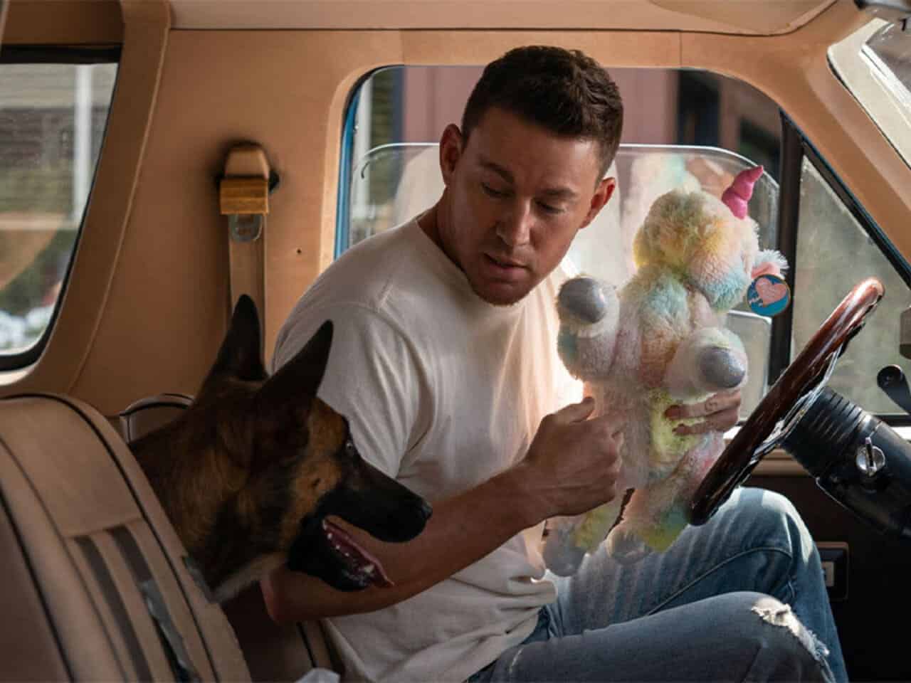 Crítica de Dog Un viaje salvaje: Película con Channing Tatum