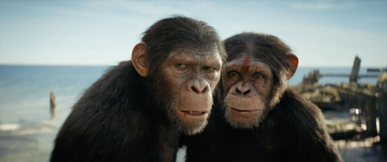 Crítica de la película El reino del planeta de los simios (2024)